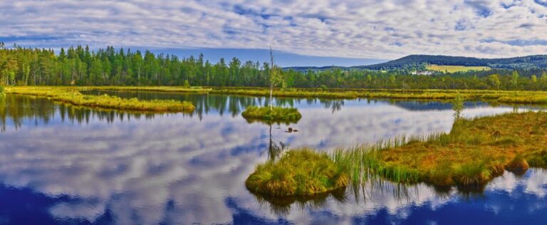 FOTOGRAF-AK-SUMAVA